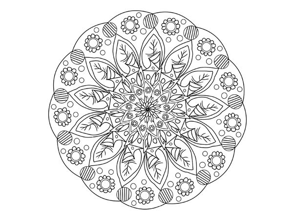 mandala_natur_1860x1000.jpg