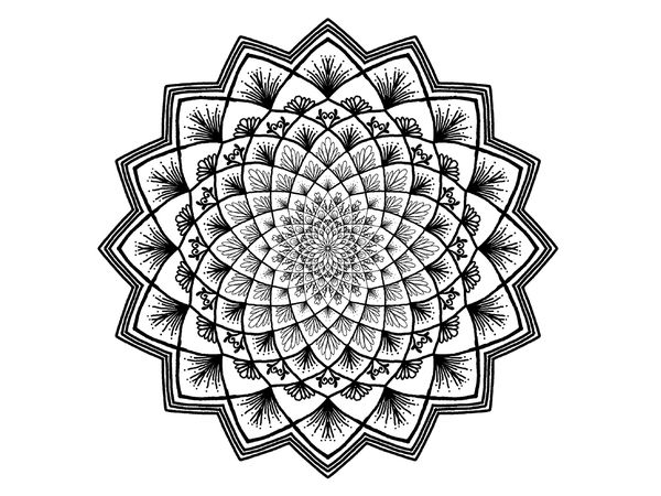 mandala_wachstum_1860x1000.jpg