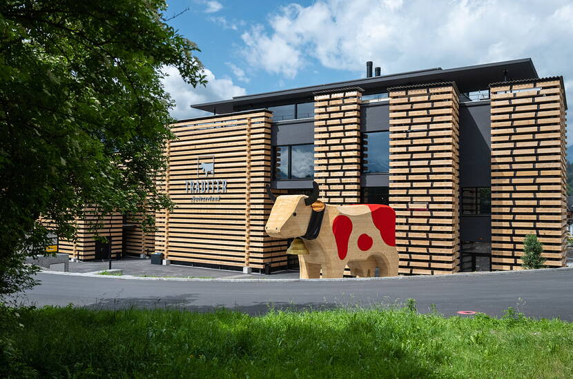 Zoom: L'univers découverte de Trauffer dans l'Oberland bernois offre une expérience captivante autour de la vache en bois emblématique. Qui a eu l'idée de peindre une vache en bois sculptée avec des taches rouges? Comment est-elle devenue si populaire dans le monde entier? Que signifient «fait main» et «durable»? 