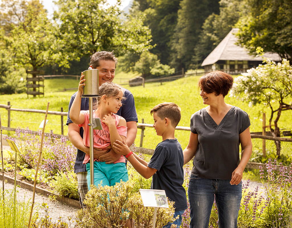 Üppig, duftend und von Insekten umschwärmt – die Bauerngärten im Freilichtmuseum Ballenberg sind ein echter Hingucker. Übrigens: Einen Teil der Produkte aus den Gärten kann man im Ballenberg Shop kaufen. Ein Besuch lohnt sich!