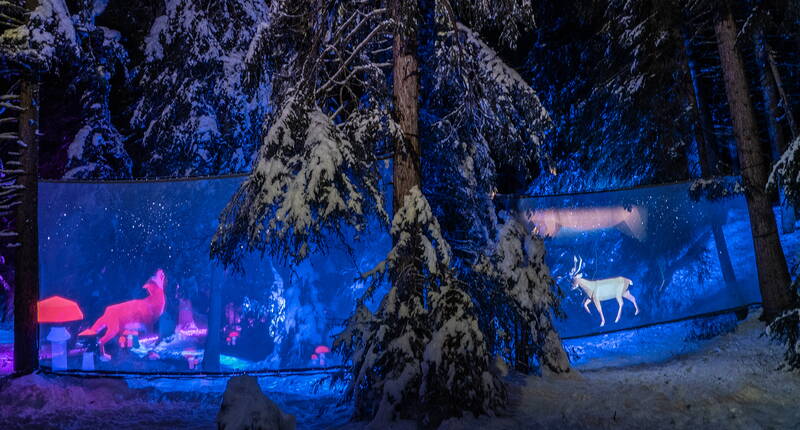 Une balade dans la forêt en hiver te mènera dans des palais de glace que tu pourras pénétrer ou escalader; à l’intérieur des igloos et des grottes, t’attendent des féeries hivernales aboutissant à une place de jeux, son grand toboggan taillé dans la glace et une grande balançoire; Vous pourrez ensuite faire rôtir des cervelas au feu de braise ou vous arrêter à la buvette du palais de glace pour vous y réchauffer.