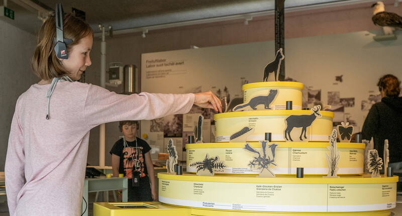 La nouvelle exposition «La nature sauvage au centre» du Parc national suisse est entièrement consacrée aux thèmes centraux de la zone protégée. 