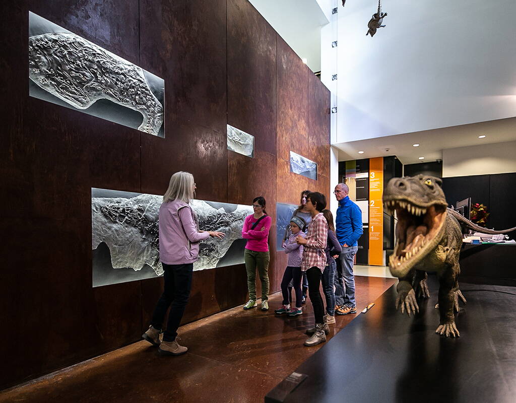 Das Museo dei fossili del Monte San Giorgio in Meride ermöglicht dir eine faszinierende Reise in die Vergangenheit. Entdecke im vom Tessiner Architekten Mario Botta umgebaute und erweiterte Fossilienmuseum auf vier Stockwe4rken verteilt eine Vielfalt an Lebewesen, welche vor mehr als 200 Millionen Jahren das Meer und die Meeresküste im heutigen Südtessin besiedelten.