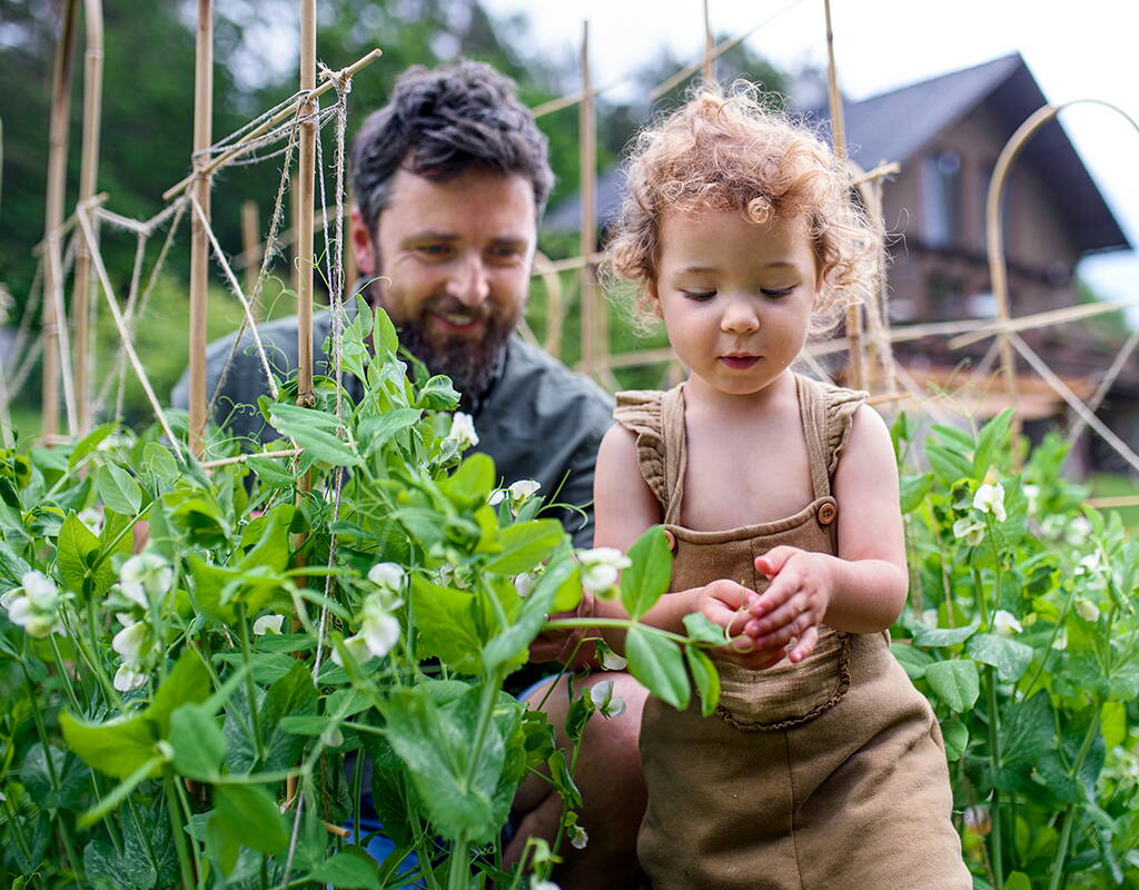 Che tu sia un neonato o una persona anziana: la tua alimentazione gioca un ruolo cruciale nella tua salute. Nel corso della tua vita, le tue esigenze cambiano. Come puoi combinare alimentazione sana e sostenibilità, te lo mostriamo nel nostro articolo sull’argomento.