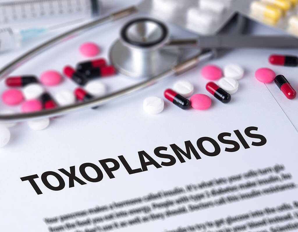 Toxoplasmose ist eine weit verbreitete Infektion, die bei Schwangeren und ihren ungeborenen Kindern zu schweren Komplikationen führen kann. Wie man sich vor einer Infektion schützen und welche Folgen eine Toxoplasmose-Infektion haben kann, erfährst du in unserem Artikel zum Thema.