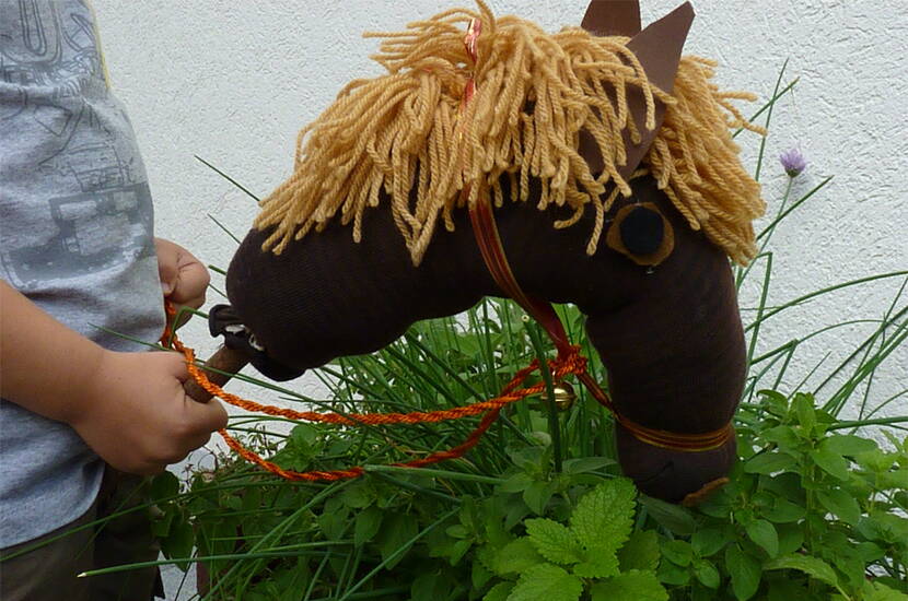 Damit auch dein Kind sein eigenes Pferd reiten kann, habe ich eine einfache Schritt-für-Schritt-Anleitung für dich entwickelt.