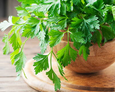 Petersilien-Gesichtsmaske – wirkt gegen Hautunreinheiten und verbessert die Wundheilung Eine selbstgemachte Gesichtsmaske aus Petersilie kann dazu beitragen, das Hautbild zu klären und aufzuhellen, da Petersilie reich an Vitamin C und Antioxidantien ist. Die Maske eignet sich besonders für Menschen mit unebener oder fahler Haut.