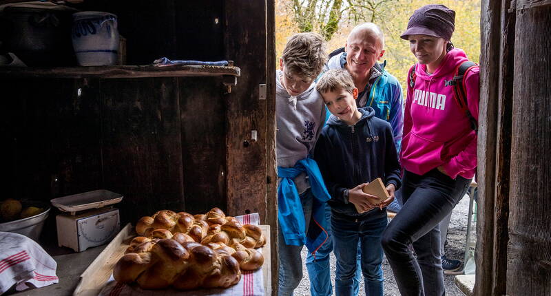 30 % de réduction sur les prix d'entrée au Ballenberg. Télécharge ton bon de réduction personnel, parcours dans le musée en plein air les champs de céréales ancestrales, les étables, les pâturages avec le bétail qui bêle et découvre plus de 100 maisons originales datant de six siècles. 