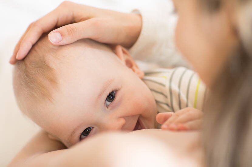 Bereits im Mutterleib werden die Geschmacksvorlieben der Kinder mitgeprägt. Ernährt sich die Mutter vorwiegend vielfältig und gesund, prägt sie unbewusst die Vorlieben ihres Ungeborenen positiv. Vermutlich nehmen Kinder gesunde Lebensmittel besser an, wenn sie bereits über die Muttermilch davon gekostet haben. 