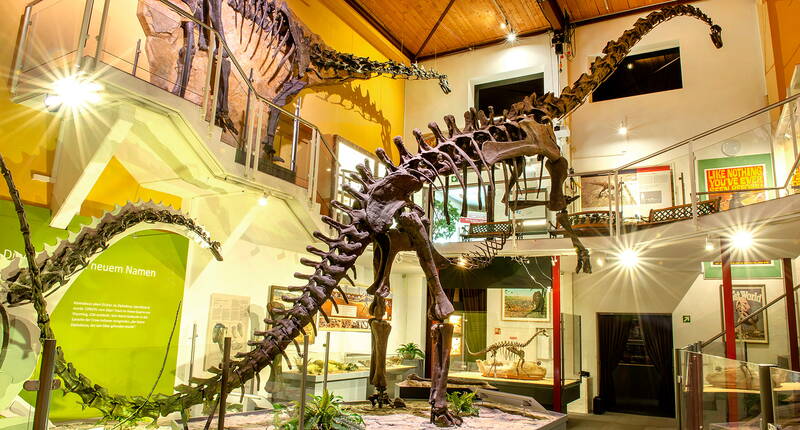 50% di sconto sul biglietto d'ingresso al Sauriermuseum Aathal. Scarica ora il buono sconto. Ammira gli scheletri e i film di dinosauri o gusta il tuo caffè accanto al brachiosauro di 23 metri. L'area esterna vi invita a barbecue, picnic e giochi.