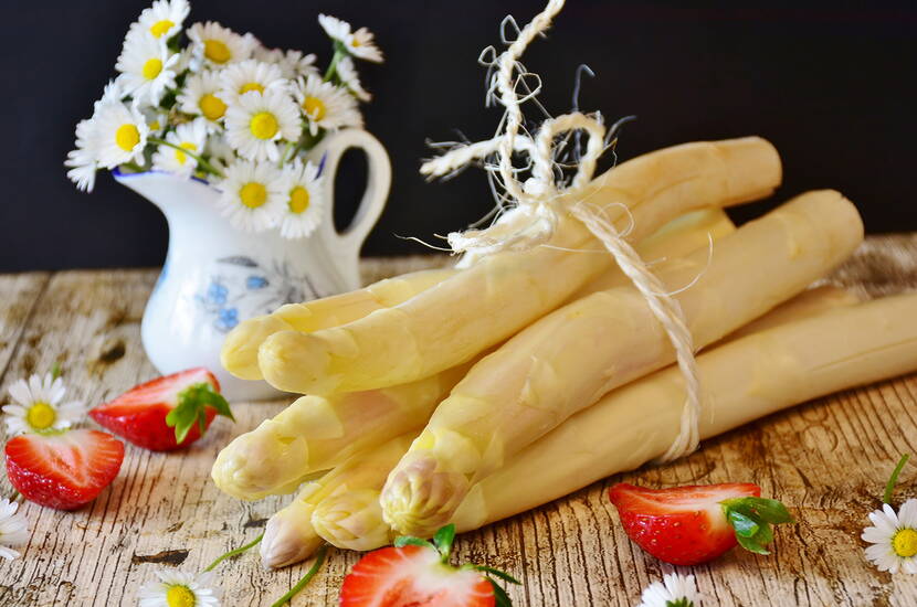 Spargel besitzt verschiedene Eigenschaften, die bereits schon früh von den Völkern erkannt und genutzt wurden,  beispielsweise gegen Husten, Geschwüre oder bei Blasenbeschwerden oder auch bei Gelbsucht.