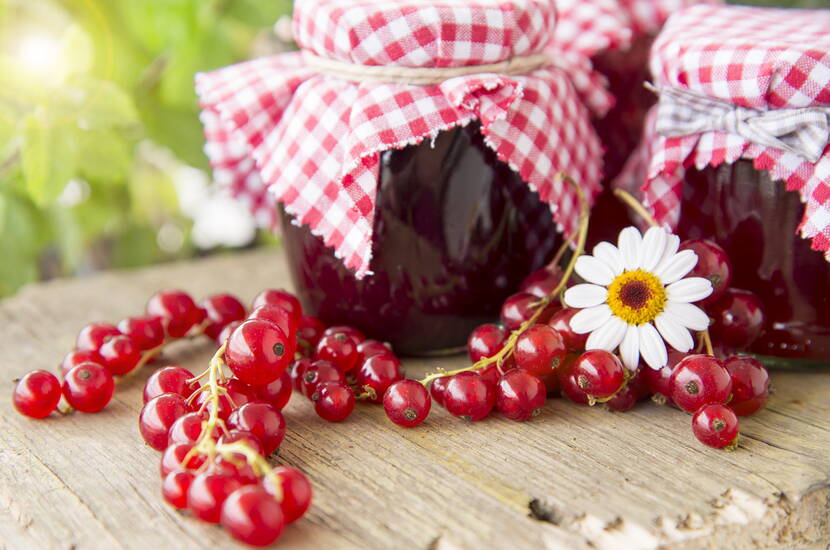 Wer keine «Kernchen» in der Konfitüre mag, kann auch einen Gelee herstellen. Dazu die Johannisbeeren kurz aufkochen, durch ein Sieb streichen und zusammen mit Rotwein, Zucker, Zitronensaft und Vanilleschote aufkochen.