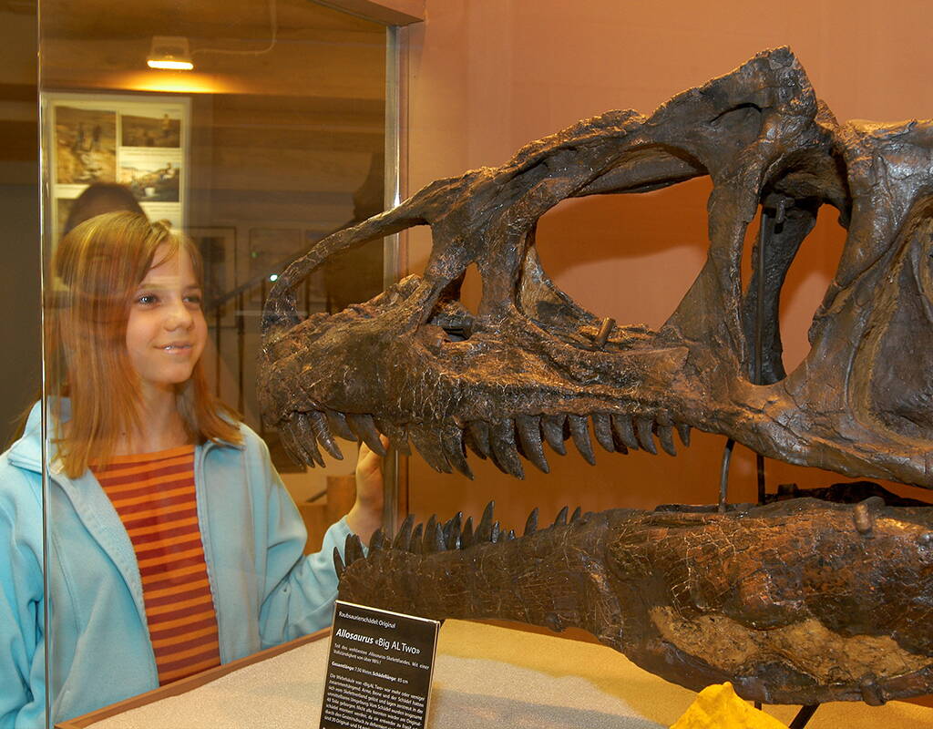 Von nah und fern pilgern Dinofans jeden Alters ins zürcherische Aathal, um dem bekannten Sauriermuseum einen Besuch abzustatten. Das liebevoll gestaltete Museum beinhaltet die Dinosaurier-Skelette der eigenen Ausgrabungen in Wyoming USA. 