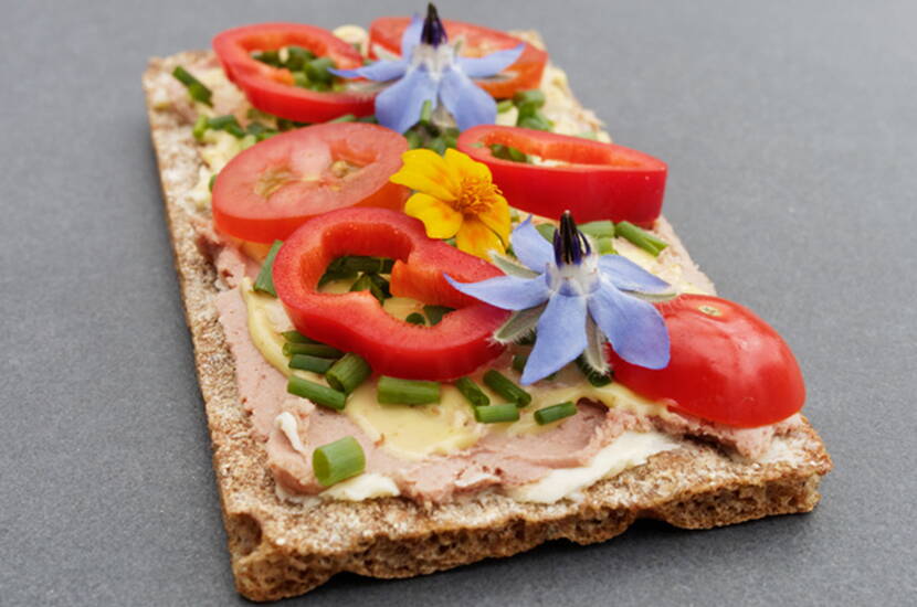 Tartiner des tranches de pain croustillant suédois avec du fromage frais, du beurre, de la margarine, du pâté de saucisse au foie ou une pâte à tartiner végétalienne, ajouter des légumes coupés en tranches – tomates, poivrons, piments, concombres, etc.) et parsemer le tout de ciboulette et de fleurs de bourrache coupées en petits morceaux.