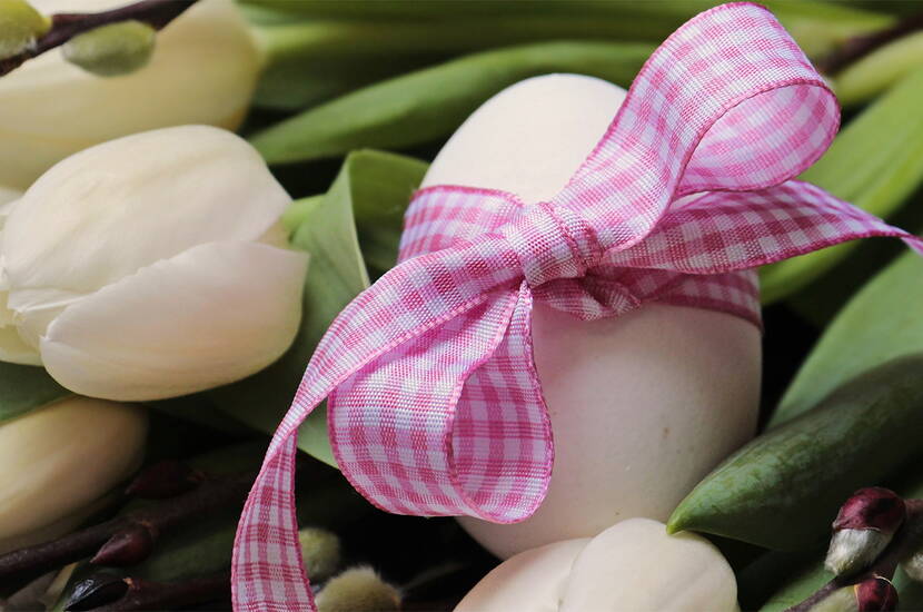 Einfach und wirkungsvoll: Eine hübsche Schleife um das gekochte Ei gebunden, ergibt in Kombination mit weissen Tulpen eine festliche Dekoration für den Ostertisch.