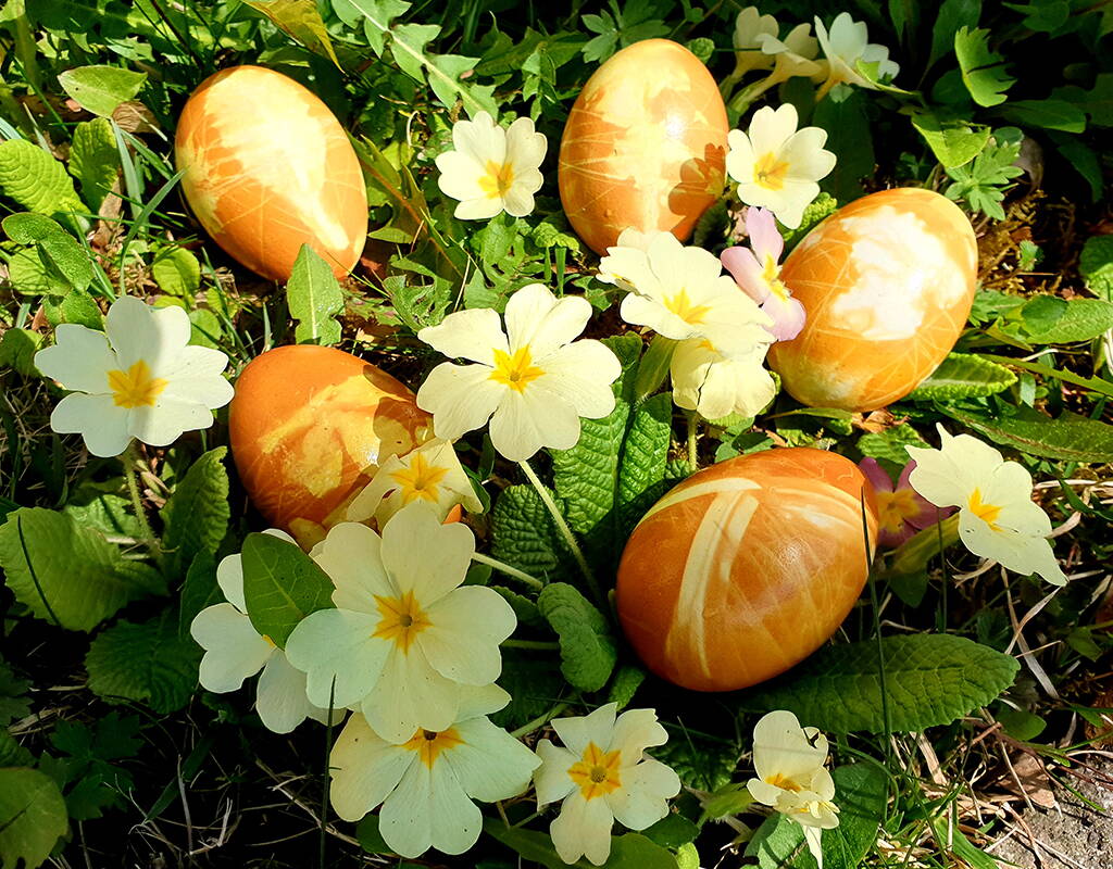 Invece delle rare e costose calze fini, le nostre bisnonne usavano il filo da cucire per attaccare le parti vegetali alle uova di Pasqua. Le uova così preparate sono state tinte con materiali coloranti naturali come la buccia di cipolla o la polvere di curcuma. Per saperne di più su questo metodo di tintura tradizionale, leggete il nostro post sul blog. 