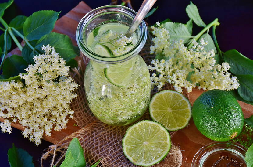 Du benötigst 100-150 g Blüten, Wasser, Zucker, Zitronen oder Limetten für die Zubereitung.