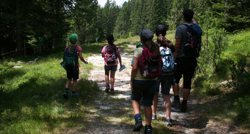 Erlebnis Niederhorn Alpen OL. Familie Grütter hat mit ihren Kindern den Alpen OL auf dem Niederhorn absolviert und teilt mit euch ihre Eindrücke.