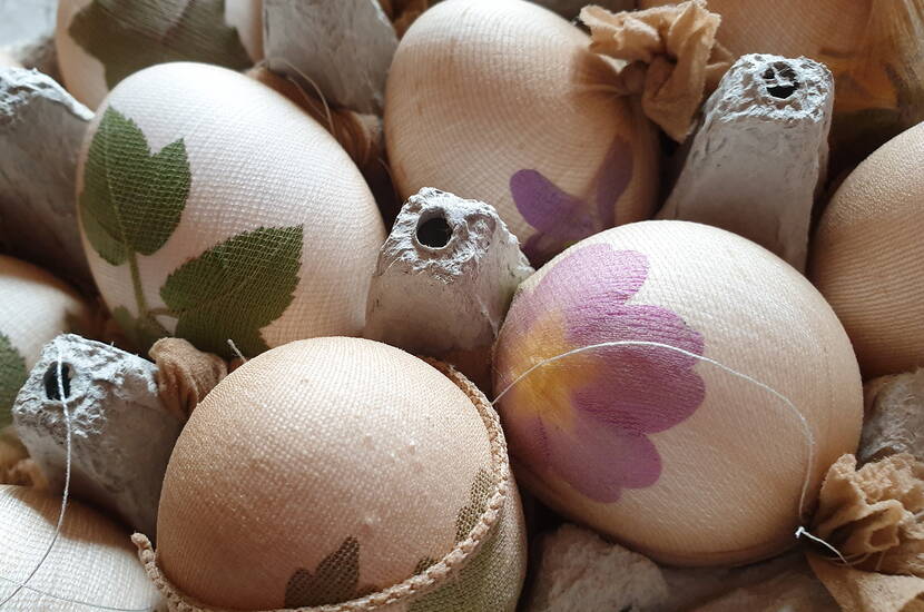 Œufs décorés d'herbes et de fleurs, entourés d'un bas nylon.