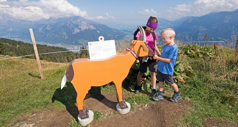 50% Rabatt auf den Paketpreis Heidipfad Pizol. Jetzt Rabattgutschein herunterladen und profitieren. Die Familienwanderung Heidipfad beginnt bei der Talstation in Bad Ragaz, wo kleine Geissenkinder auf Heidi einstimmen. Unterwegs können die Kinder verschiedene Holzgeissen suchen. Am Schluss gibt es einen Wettbewerb.