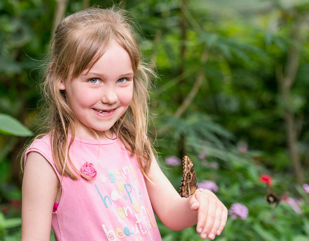 Im Papiliorama erlebt ihr hunderte von bunten Schmetterlingen. Das Nocturama gewährt einen Einblick in das Leben der nachtaktiven Tierarten der Wälder des tropischen Amerikas. Der Aussenbereich besitzt einen einzigartigen Streichelzoo, sowie Natur- und Wasserspielplätze.