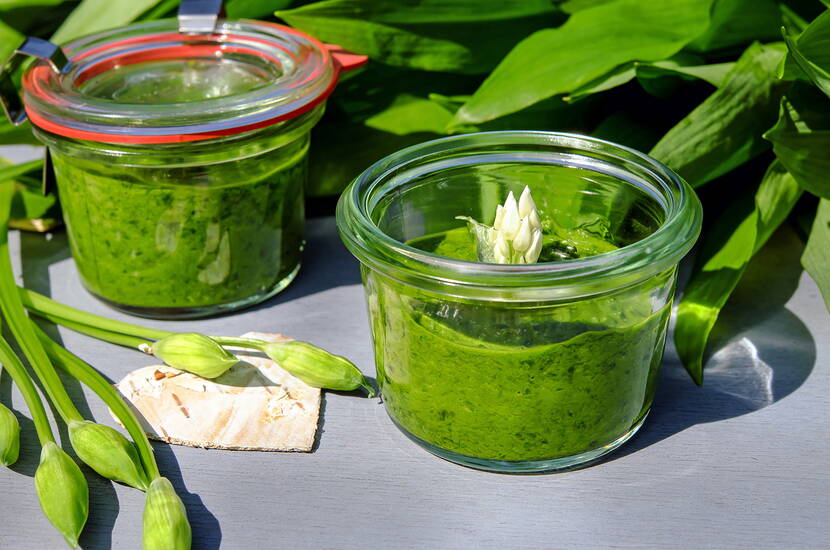 Bei der Herstellung von Pesto ist zu beachten, dass die Mischung knapp mit Öl bedeckt ist  und nicht darin schwimmt. 