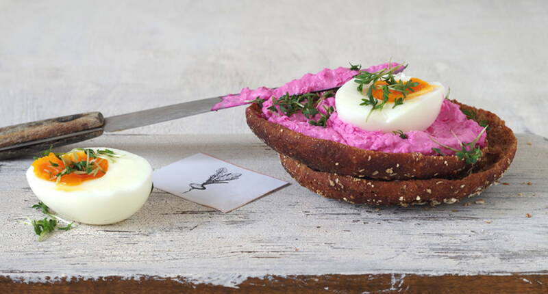 Randen (rote Beete) eignet sich vorzüglich für die Herstellung eines vegetarischen Brotaufstrichs. Durch die Beigabe des Zitronensafts kann zudem das in der Randen-Knolle enthaltene Eisen vom Körper besser aufgenommen werden.