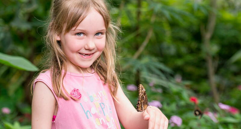 Mitten im Drei-Seen-Land liegt das Schweizer Schmetterlingsparadies Papiliorama-Nocturna. In der 1'200 Quadratmeter grossen Anlage kannst du über 1’000 einheimische und exotische Schmetterlinge hautnah erleben und bestaunen.