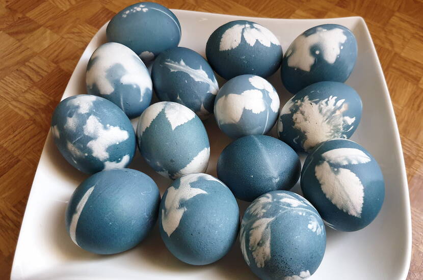 Una ciotola di uova di Pasqua blu colorate.