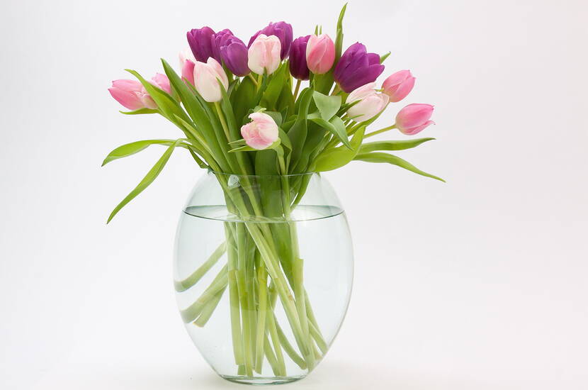 Tulpen und Frühling gehören zusammen. Diese entweder in hohen eleganten Glasvasen arrangieren oder in pastellfarbenen Glasvasen oder Einmachgläsern.