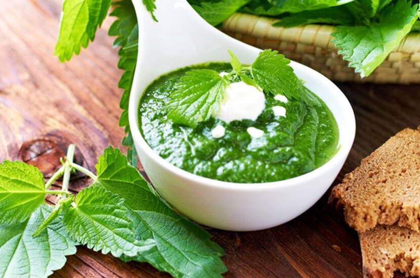 Gesund und lecker – Brennnessel-Pesto. Schau dir unser einfaches Rezept an und bereite dir ein fantasitches Pesto zu.