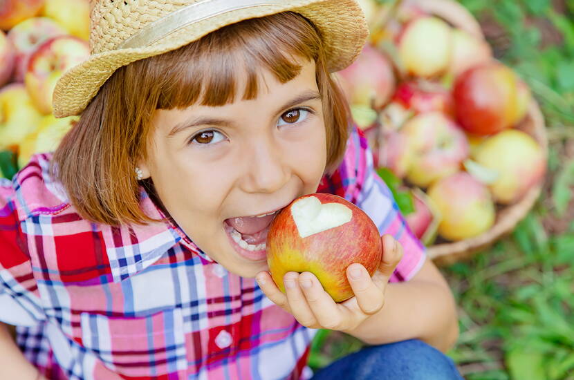 Eine gesunde und nachhaltige Ernährung für Schulkinder ist ebenso wichtig, da sie während dieser Phase weiterhin Wachstum und Entwicklung erleben. 