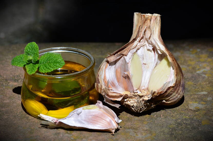 Die Zehen einer ganzen Knoblauchknolle schälen, in ein kleines Schraubglas legen und mit Olivenöl übergiessen. Etwas Wasser in eine kleine Pfanne aufkochen, das Glas reinstellen und ca. 45 Minuten auf kleiner Flamme köcheln lassen. 