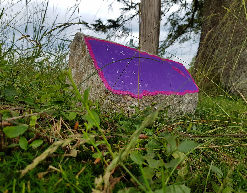 Sfide varie e un panorama mozzafiato ti aspettano all'Alpe Ahorn a Eriswil. Sul percorso di circa 3 chilometri, aiuti la strega «Mary» a recuperare i suoi poteri magici. Manca solo uno sconto? Trovi qui il buono.