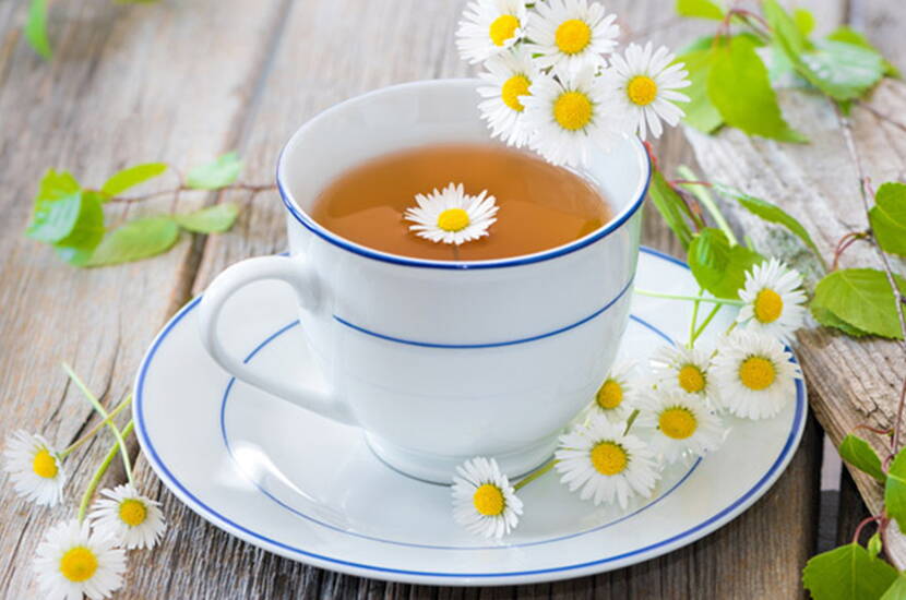 1-2 Teelöffel Gänseblümchen mit kochendem Wasser übergiessen und 10 Minuten ziehen lassen. Abseihen und bei Bedarf mit Honig süssen. Über den Tag verteilt 3 Tassen davon trinken.