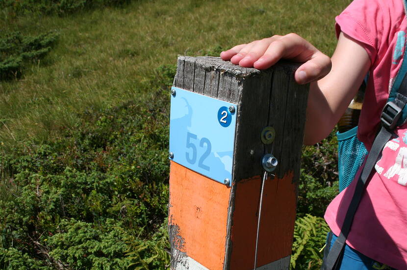 Erlebnisbericht Alpen OL Niederhorn. Wir starteten wieder einmal zum Alpen OL auf dem Niederhorn. Die „Reise“ auf den Gipfel war für unsere Kinder aufregend. Zuerst ging es von der Beatenbucht mit der Standseilbahn bis Beatenberg. Danach stiegen wir in die Gondel, die uns bis oben aufs Niederhorn brachte.