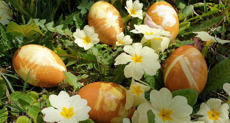 Si possono creare bellissime uova di Pasqua con effetti incantevoli usando materiali naturali per la tintura come la buccia di cipolla o la curcuma.