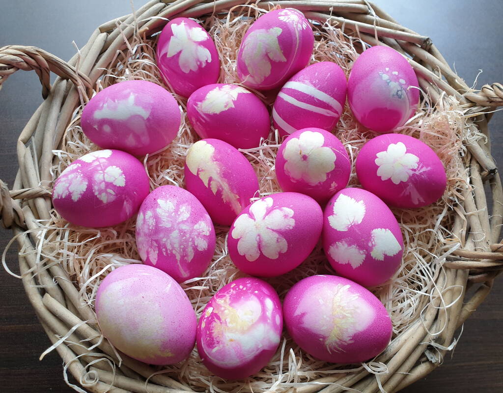 Cette année, la table de Pâques doit être colorée? Dans ce cas, nos œufs de Pâques en cochenille sont le bon choix! Dans nos instructions pas à pas, tu apprendras comment les colorer.