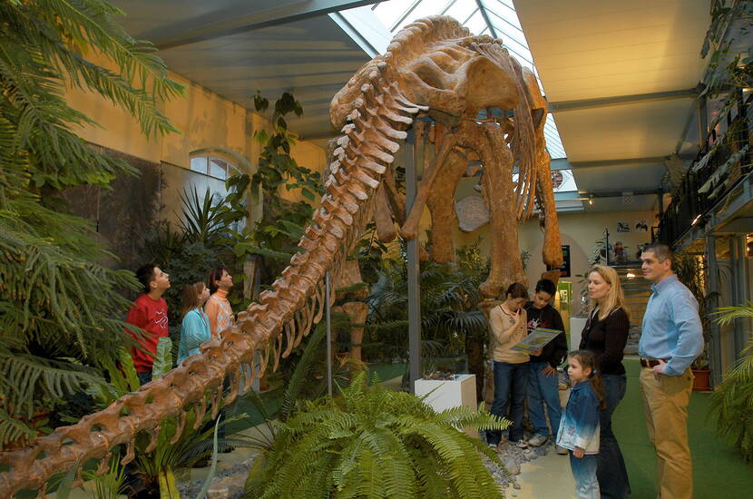 Familienausflug in den Jurassicpark Aathal. Im idyllischen Zürcher Oberland ist das Sauriermuseum beheimatet. Jährlich pilgern über 100’00 Besucher nach Aathal, um die Originalfossilien sowie Dino-Replikate und -Modelle aus aller Welt zu bewundern.