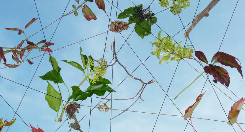 Gestalte jetzt ein dekoratives Herbstfenster mit Naturmaterialien. Was du dazu brauchst, erfährst du in unserer Bastelanleitung.